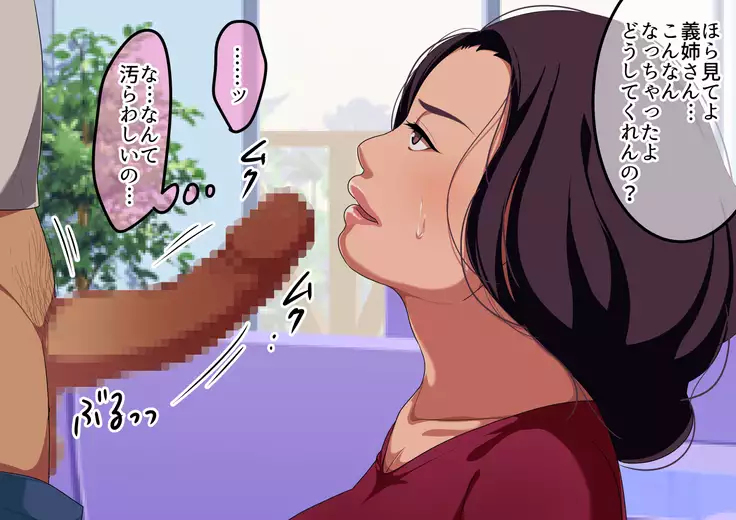 Aniyome Netori ~Kouman na Aniyome ni Kin o Kasu Koto ni Nattanode Karada de Hensai Saseta Kekka~