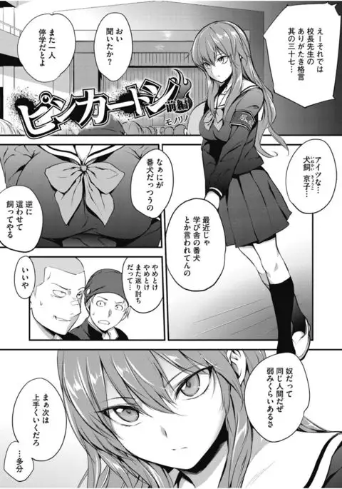 Core Colle Chijoku Inbaku