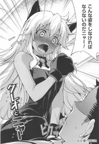 (C84) [CDPA (Various)] CROSS MAKE 2013 Summer (Freezing)