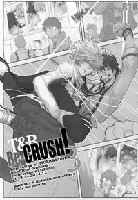(C90) [Isshou ni Ichido! (Mokkori)] T&B Re-CRUSH!3 (TIGER & BUNNY)