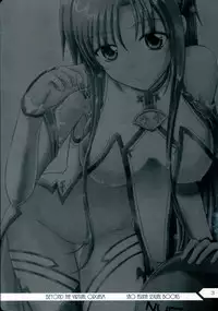(C83) [Natakuga-yuku! (Xanadu, Mikoto)] Beyond The Virtual Orgasm (Sword Art Online) [Incomplete]