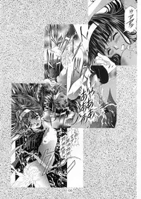 [HenReiKai] Sakura Ame Ver. Final 0.0 ~Croquis~ (Card Captor Sakura)