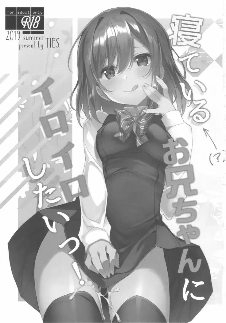 Neteiru Onii-chan ni Iroiro Shitai!