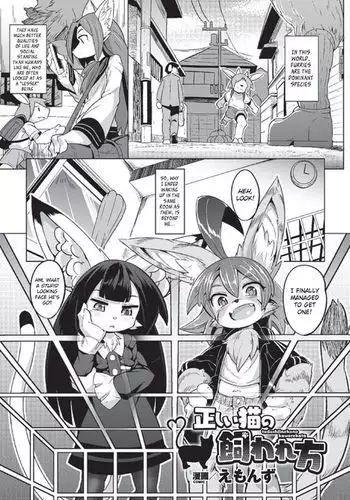 Tadashii Neko no Kawa Rekata