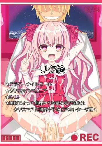 "Seiya no Okurimono" Christmas Begonia