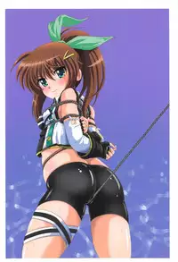 (C91) [Thirty Saver Street (Maki Hideto, Sawara Kazumitsu)] Storage Bind 5 (Mahou Shoujo Lyrical Nanoha)