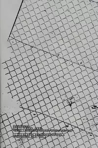 (C75) [Transistor Radio (Kirishima Sou)] RE:RE:AN (Persona 4) [English] [CGRascal]