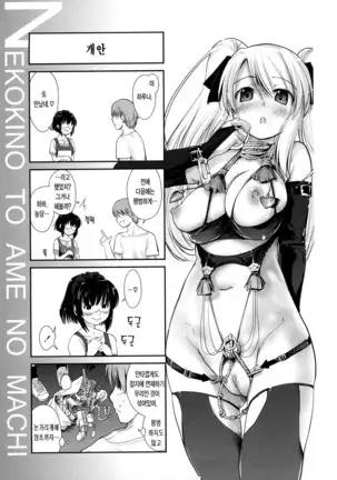 Nekokino to Ame no Machi